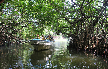 Madhu Ganga